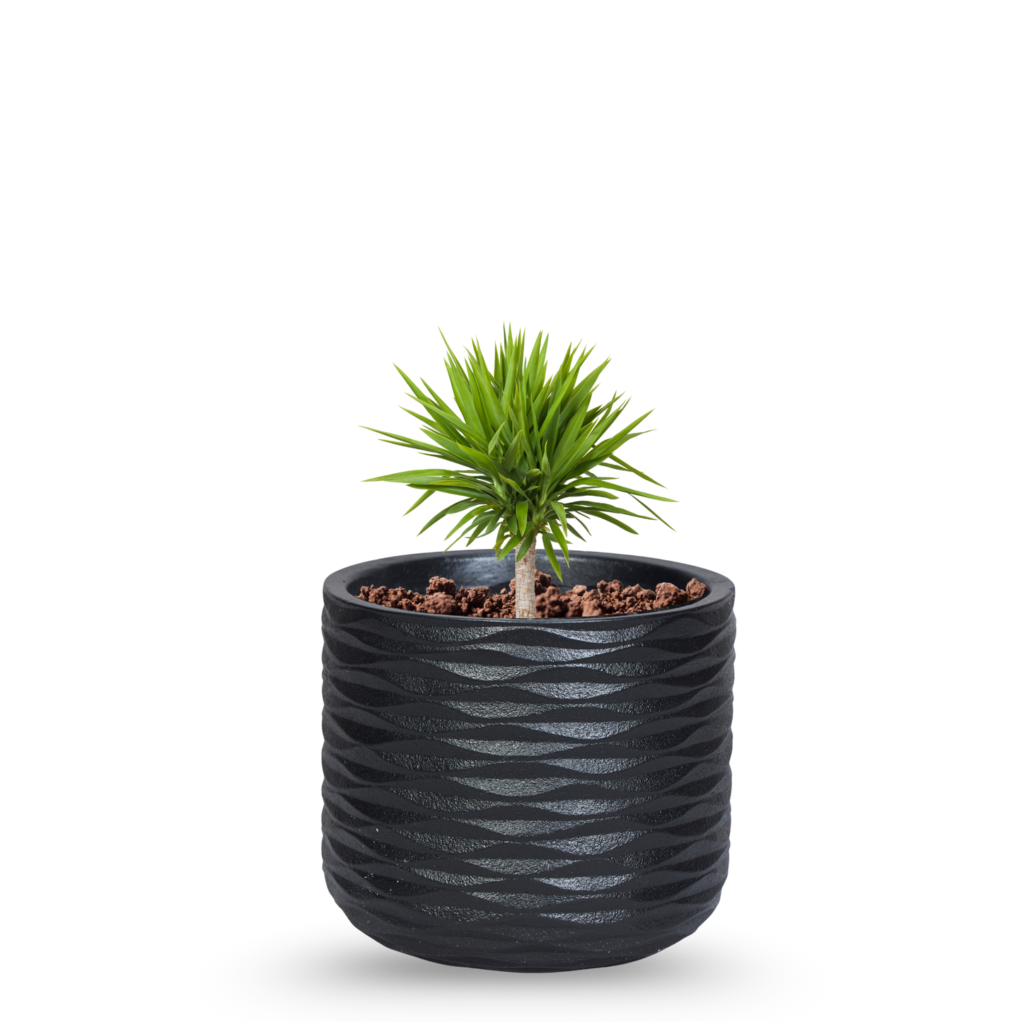 Obsidian Ripple Planter