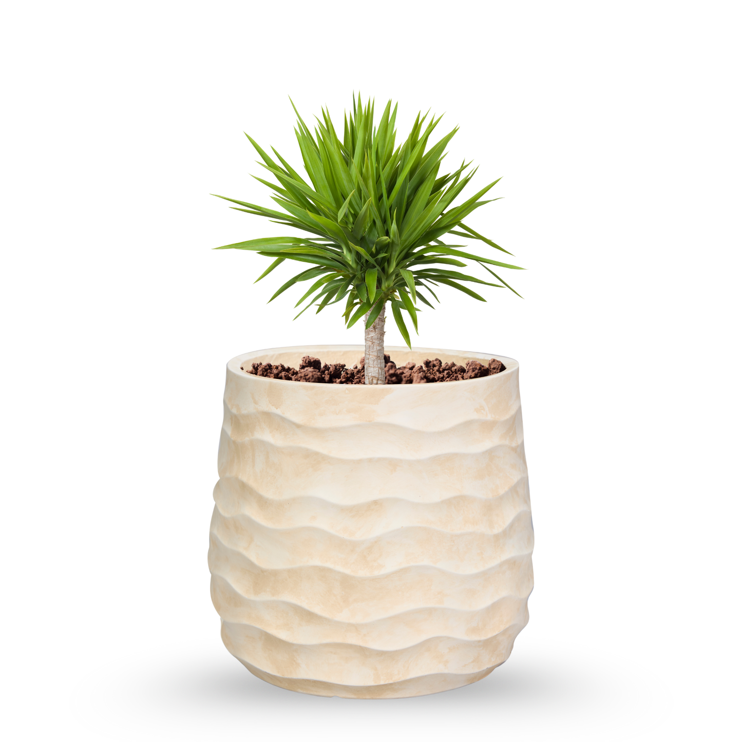 Sahara Wave Planter Set