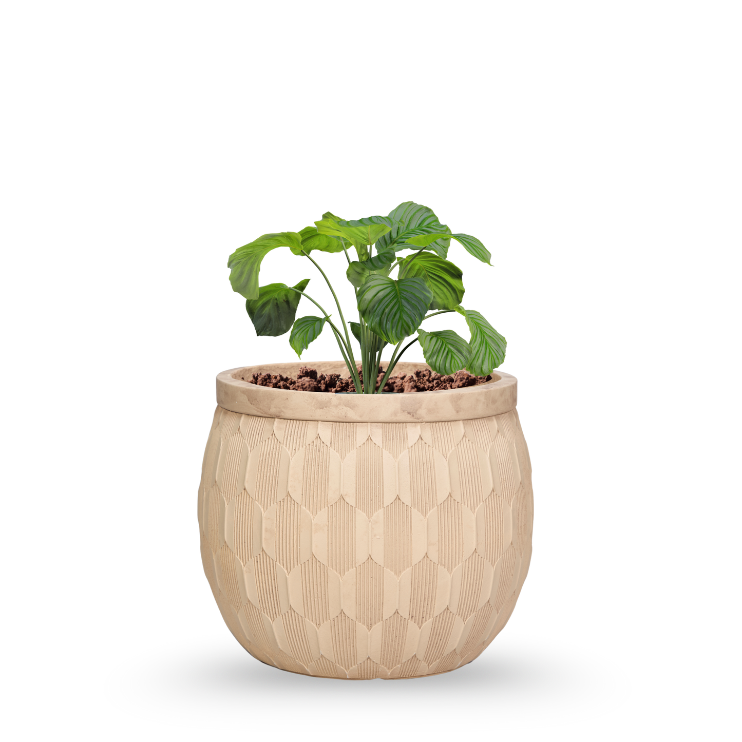 Aria Premium FRP Designer Planters