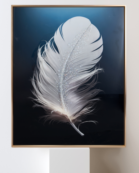 Ethereal Feather