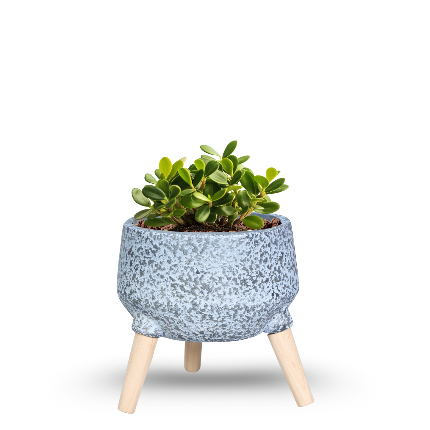 PebblePod Planter Set