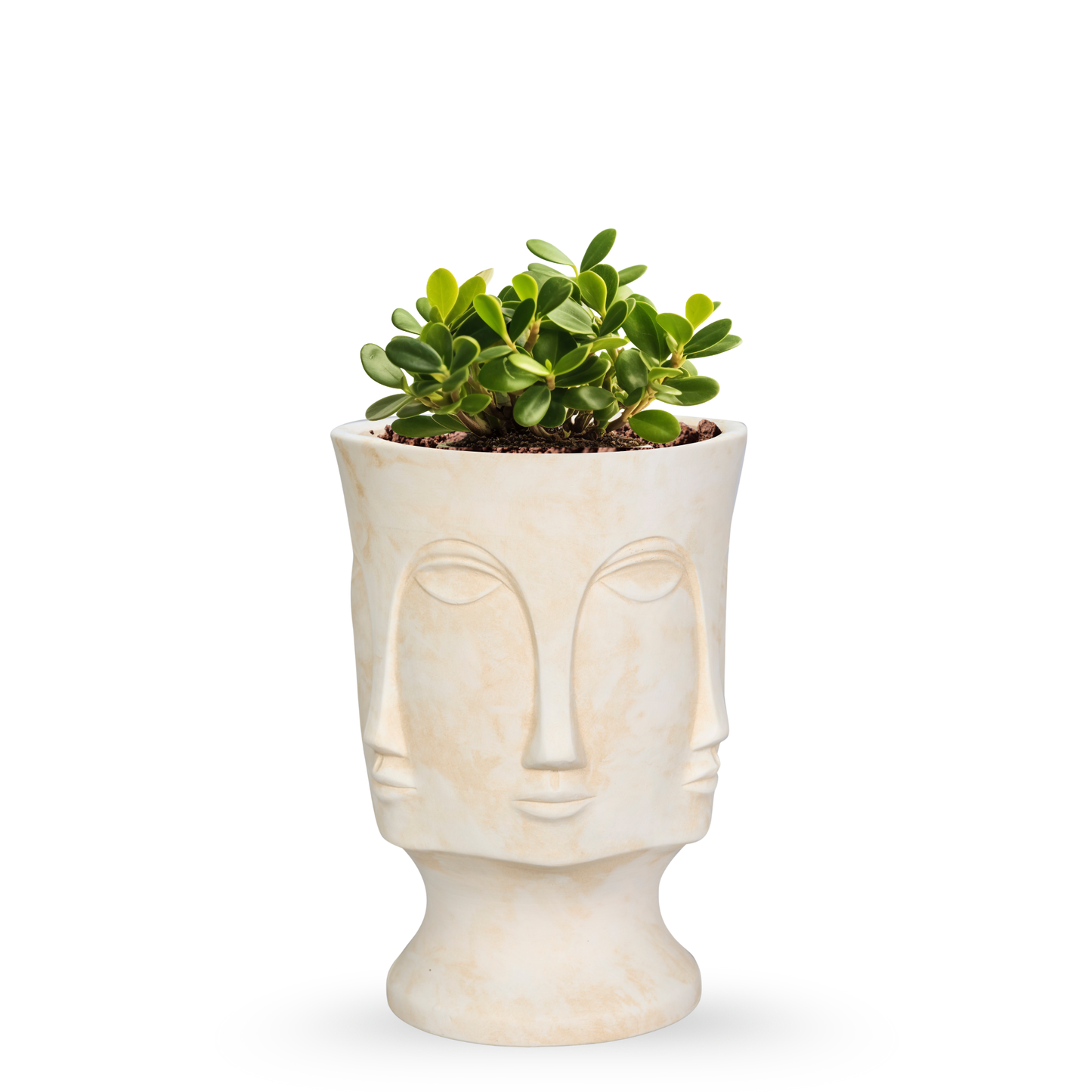 Tribal Muse Face Planters