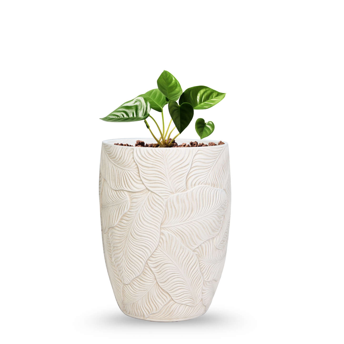 Tropical Leaf Planter