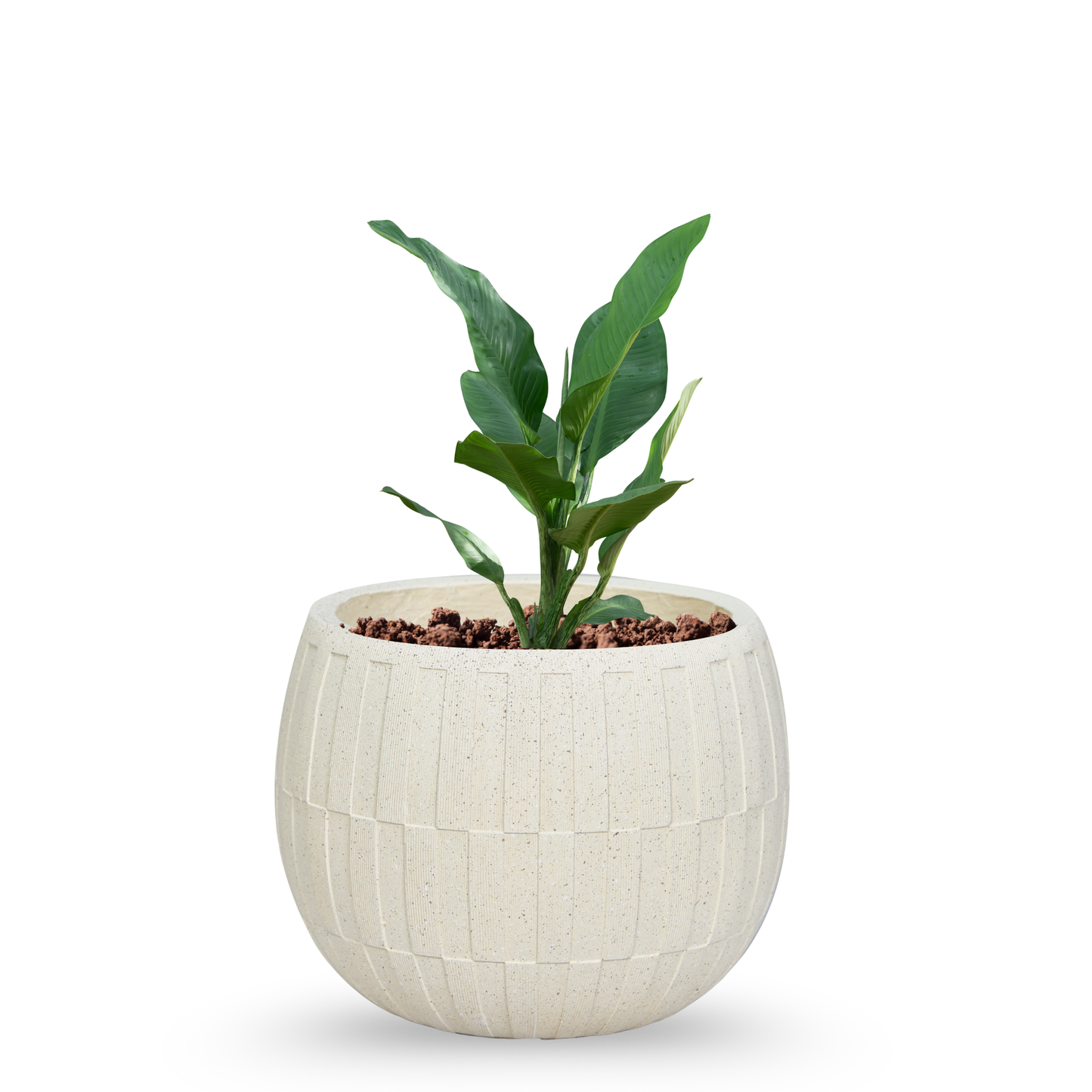 Ivory Pebble Planter Set