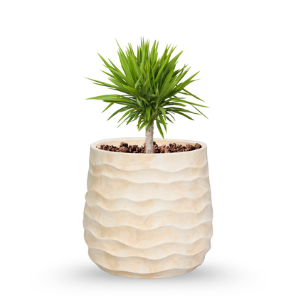 Sahara Wave Planter Set