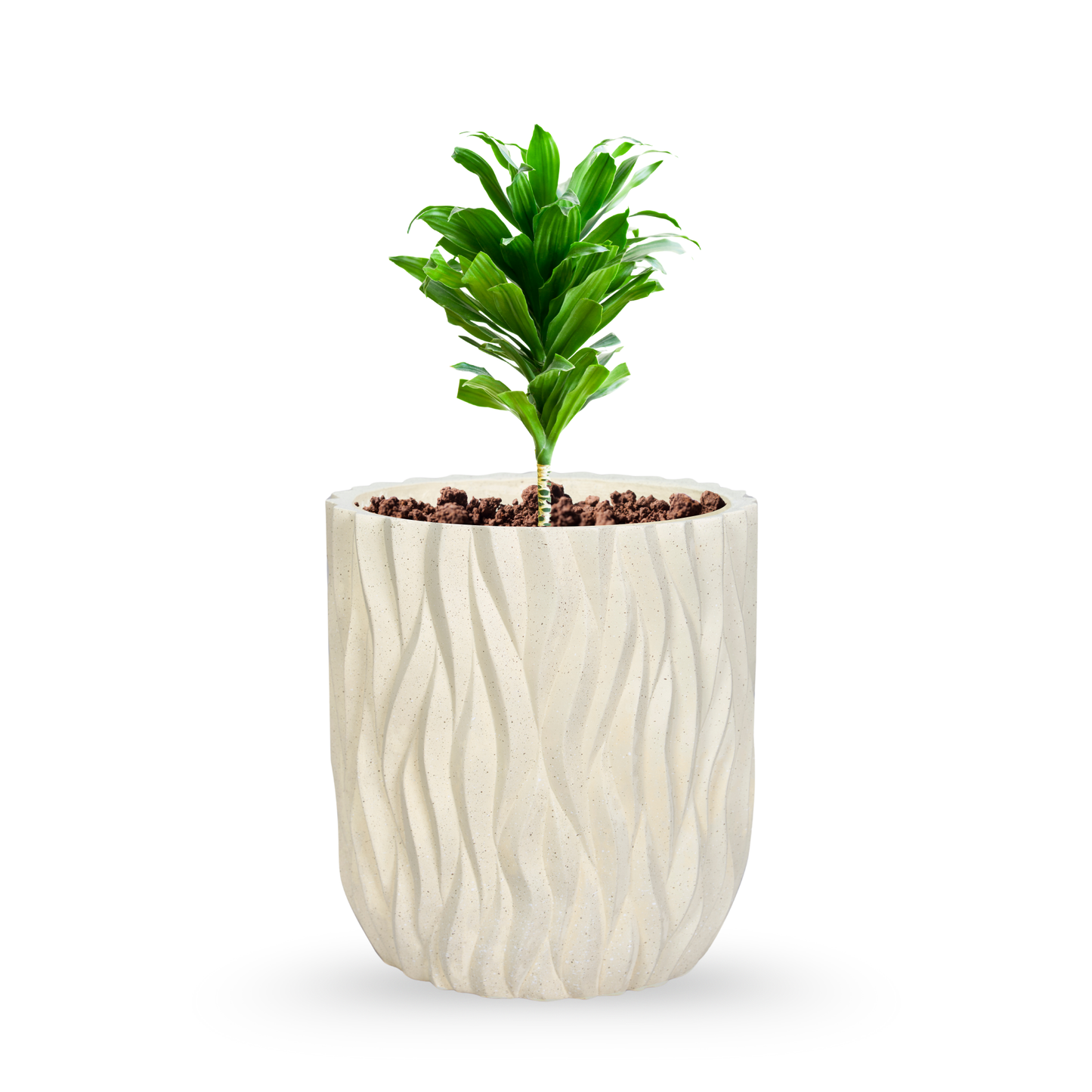 Ivory Flame Planter set