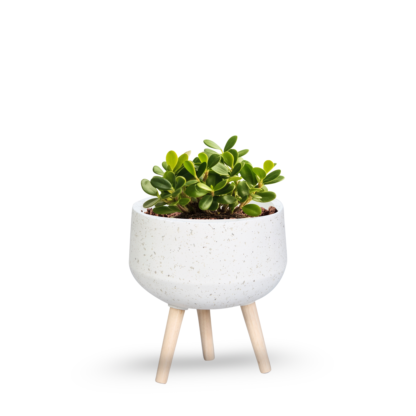 Nordic Pebble Planter