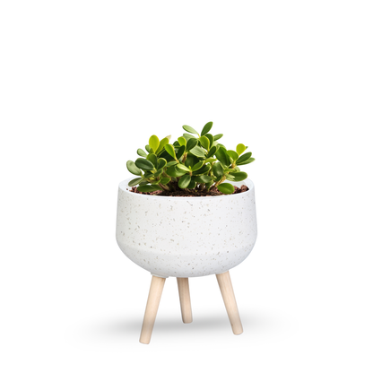Nordic Pebble Planter