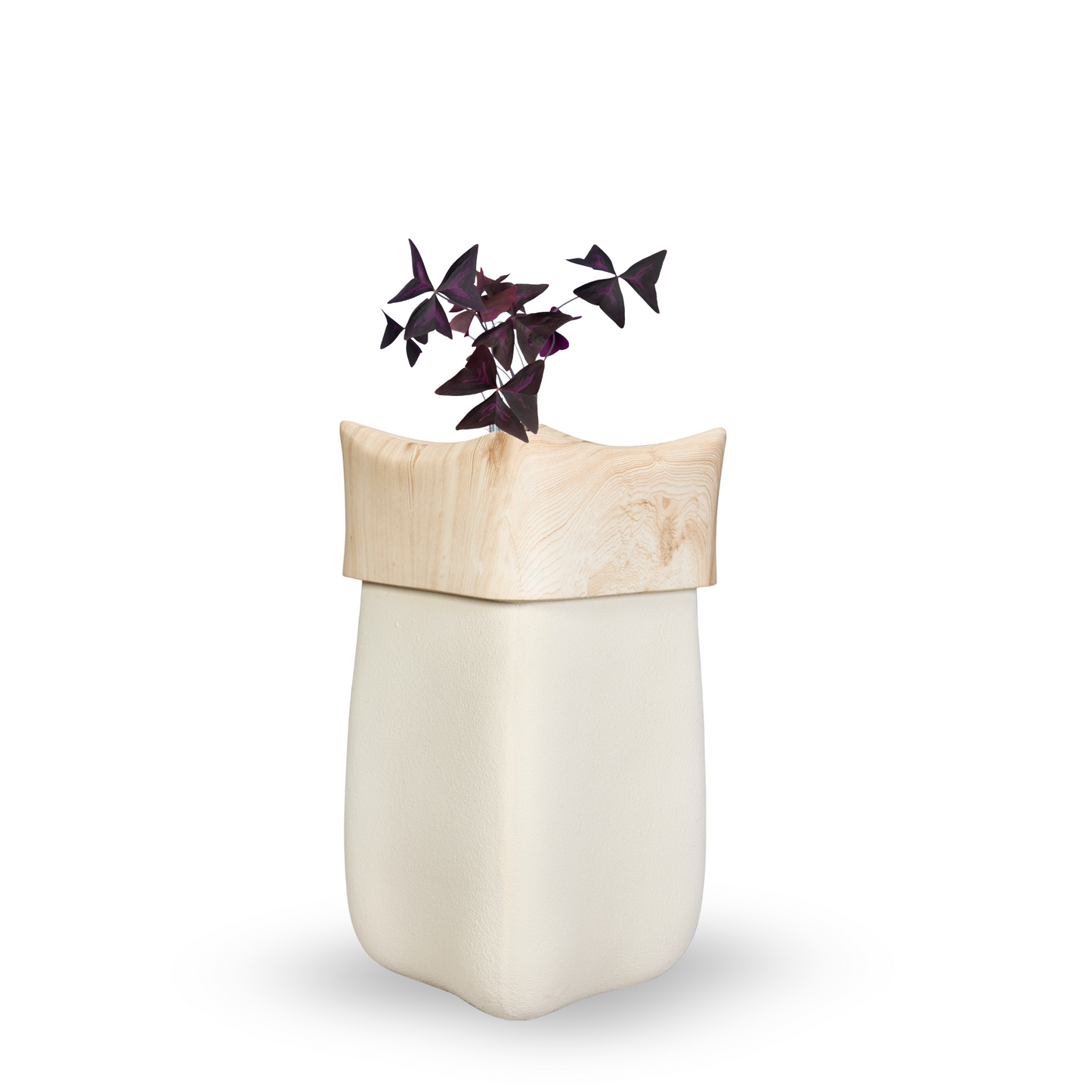 Ivora Sculpt Planter Set