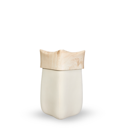 Ivora Sculpt Planter Set