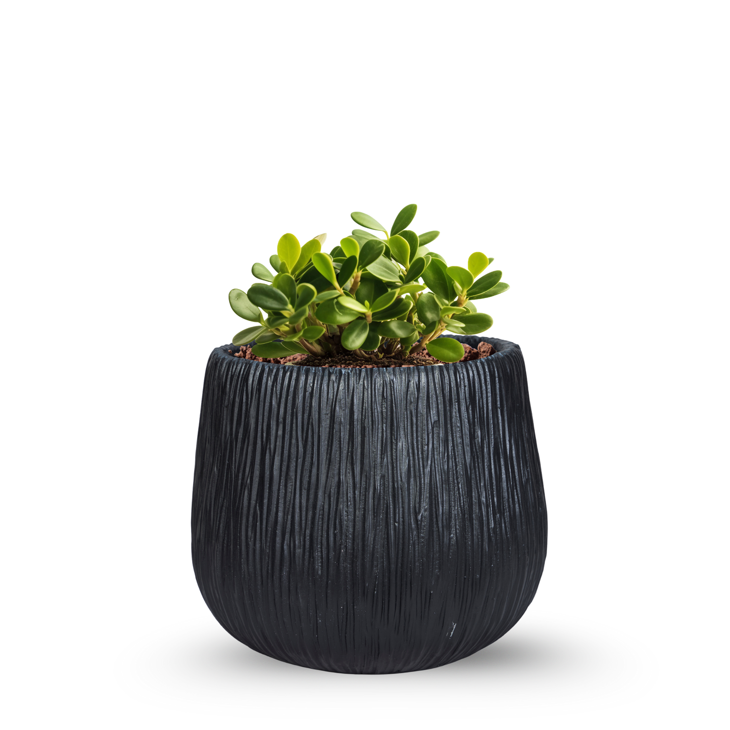Noir Grove Planter
